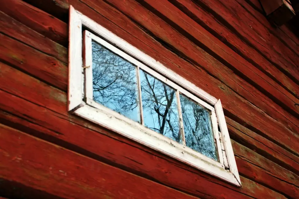 White wooden framed glass window pane, illustrating pest entry points and property maintenance